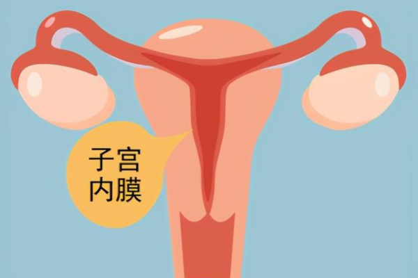 试管婴儿步骤选台湾茂盛医院 台湾试管婴儿费用组成 ‘男宝和女宝b超区别图男