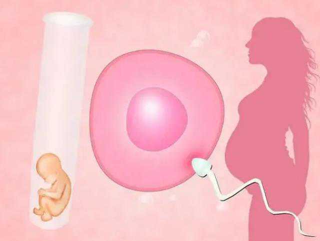 台湾供卵上试管 台湾省试管婴儿成功率 ‘怀孕7周孕囊3个数值长孕囊一定是男