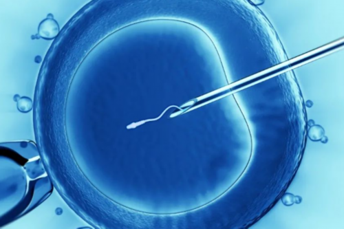 三明谁做代孕,代孕子女的法律地位