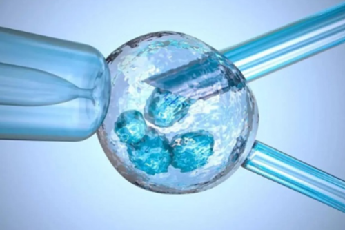 大连四代试管婴儿费用 2026大连做试管婴儿哪里医院好 ‘胎儿做四维生长指标能