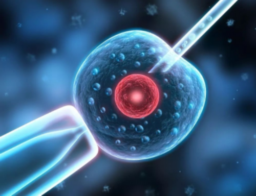 除了海医附院，海南哪家能做第三代试管婴儿？-权威怀孕机构