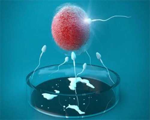 台湾供卵试管 合法 去台湾做试管婴儿，七个步骤流程帮你搞定 ‘100天b超查男