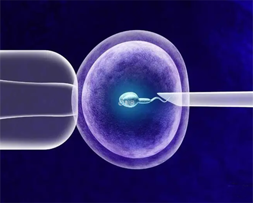 浙江中介代孕价格,2026我想求代孕