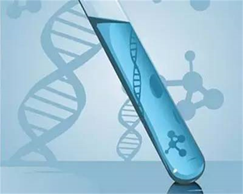 女性备孕需要注意_怎样备孕怀女孩,重庆做试管婴儿的私立医院排名榜公布，附