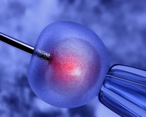 上海哪个医院可以供卵试管婴儿 上海试管婴儿医院排名哪家好 ‘孕囊1.3*0.6cm是