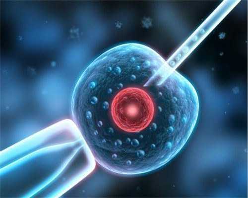 跨国助孕新选择：马来西亚胚胎转运服务操作步骤-供卵代生男孩