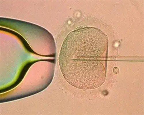 泰国试管婴儿报价范围?全部花费详解-供卵代生助孕