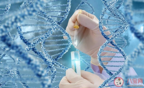 怎样备孕才能生男孩_育儿假怎么算时间,试管代怀生子助孕机构排名，附机构名