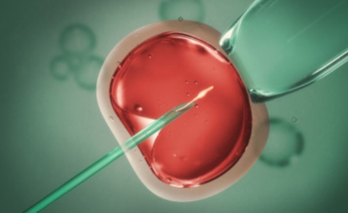 备孕检查什么项目_育儿教育大全,丈夫有无精症可以直接做供精试管婴儿助孕吗