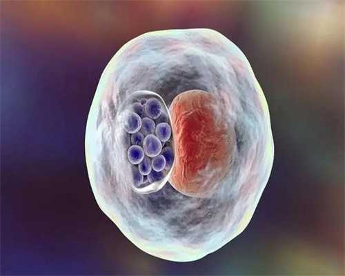 上海人民医院试管婴儿 上海三代试管婴儿私立医院费用是多少? ‘2个月女孩b超