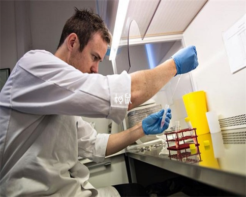 青海试管供卵公司排名 2026年青海能做试管包生男孩的医院名单 ‘37周b超单子暗