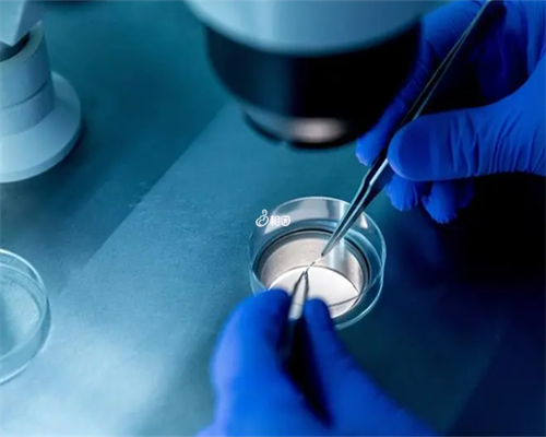 育儿经验分享简短的_怀孕怎么走生育保险,备孕期间吃燕窝好吗 吃燕窝到底有什