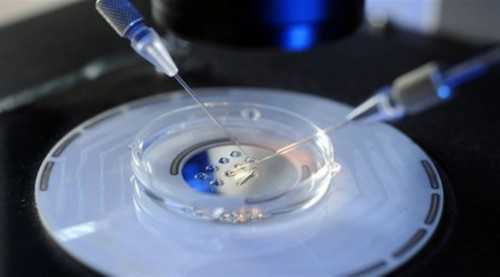 怀孕血hcg检查正常值对照表，看看是宫外孕还是宫内孕！