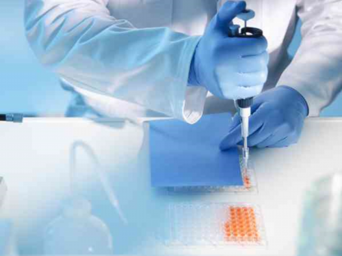 _b超看男女-代孕生殖价格