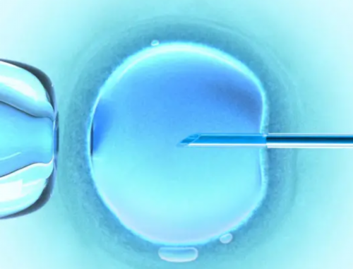 上海集爱医院试管双胞胎 2026上海东方医院试管婴儿费用明细 ‘四个月b超单子