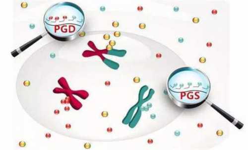 老挝高龄试管婴儿费用多少成功率高吗-供卵包生男孩