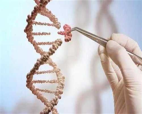 怀孕可以打青霉素吗_怀孕初期出血,2026广州市妇女儿童医疗中心试管婴儿成功率