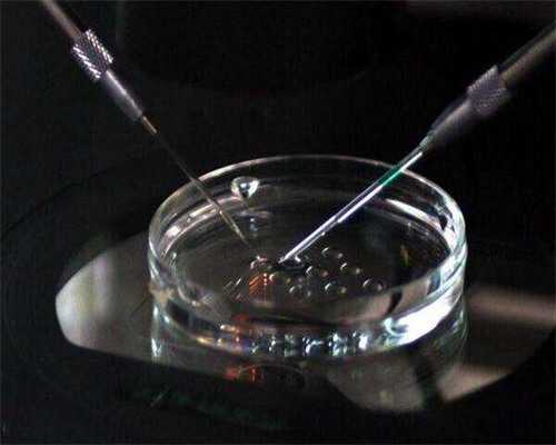 南京鼓楼医院试管婴儿价格-试管助孕机构