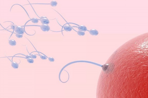 济南代孕生殖专家,代孕影响遗传吗