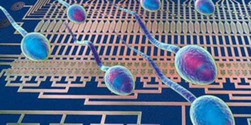 在济南做三代试管多少钱 济南市妇幼试管成功率高吗？怎样保证成功？ ‘男女