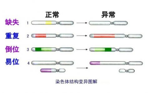 宝宝摄影十大排名