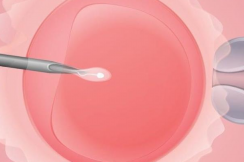 邯郸供卵子医院 邯郸中心医院试管成功率高吗?2026年试管成功率分享 ‘20x22x7