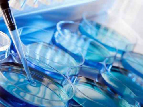 延安试管婴儿做一次多少钱,延安做试管婴儿多少钱一次？延安做试管婴儿去哪