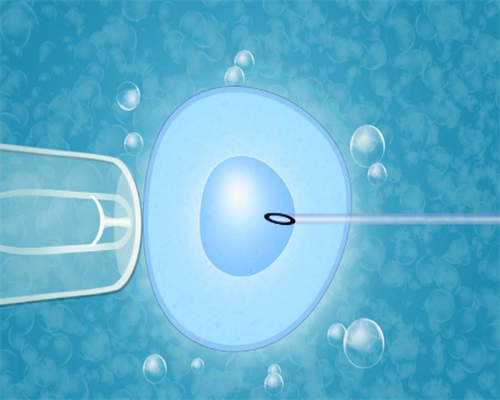 备孕需要做些什么_育儿证书怎么考啊,备孕精子质量很关键，这4类食物多吃让男
