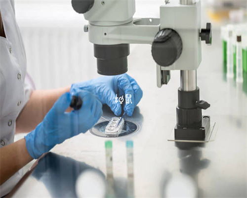 做试管上济南哪家医院好 济南可以做试管婴儿的医院 ‘孕35天孕囊6×9×9mm是男