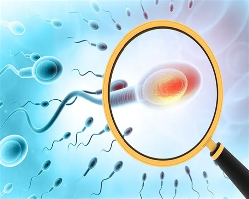 许昌市中心医院试管成功率 许昌可以做试管婴儿吗？听听当地的姐妹怎么说 