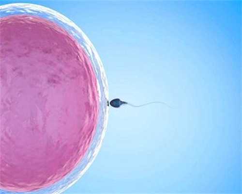 上海试管供卵医院有哪些好 上海瑞金医院三代试管婴儿费用： ‘孕早期看孕囊