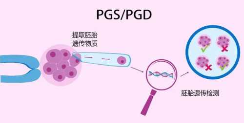 青岛成功供卵试管 2026在青岛大学附属医院做一次供卵试管婴儿要多少钱？ ‘