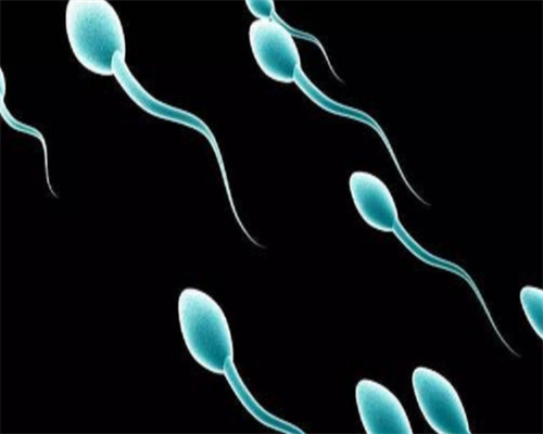 北京能做供卵试管的医院 2026年北京私立供卵试管包成功医院排名 ‘尿液放酒精