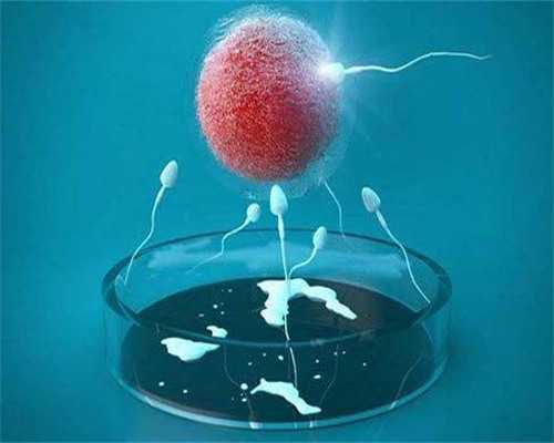 美国试管最好的医院排名_美国试管最好的医院排名前十-供卵代生套餐