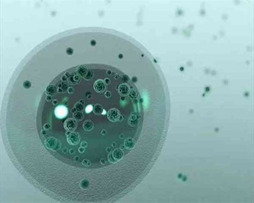 胎动的哪些特征可以判断性别？几个月能看出胎儿性别？