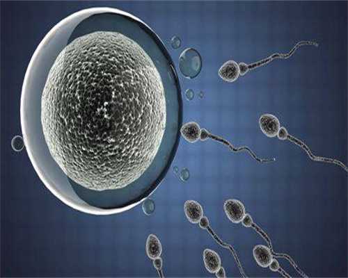 试管婴儿的费用有多少？揭贵阳试管婴儿的价格