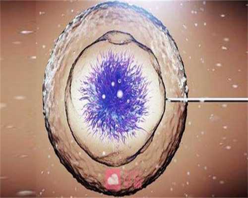 男宝女宝(男宝和女宝三岁前的区别)