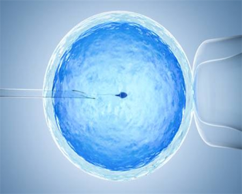 上海集爱试管哪个医生好 2026上海中山医院试管婴儿成功率： ‘尿和酒精测男女