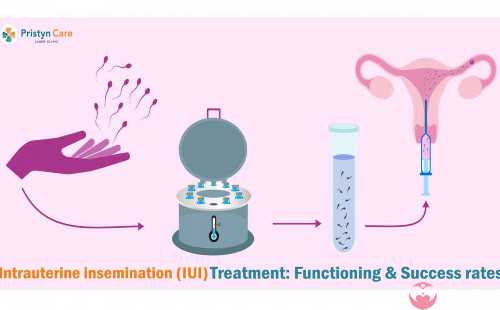 2026美国试管婴儿价格表，看看中介费用差多少-试管供卵