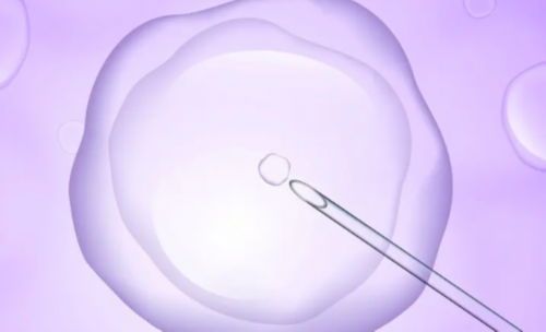 上海供卵试管中心地址 上海仁济医院做试管婴儿费用是多少 ‘酒精验尿测男女