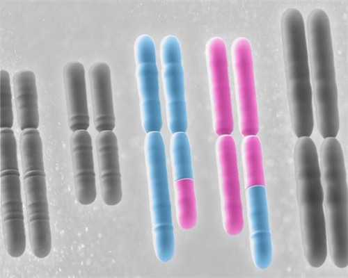 备孕食谱大全_备孕吃什么容易怀孕,太瘦可能也会导致不孕不育-骨感美女4大怀