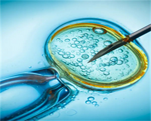 赴泰试管婴儿好奇泰国EK国际医院好不好-助孕公司机构