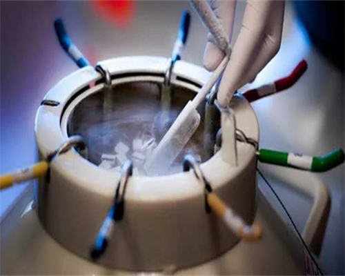 做泰国试管婴儿有什么缺陷吗-助孕代怀医院