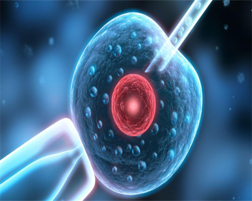 想做第三代试管婴儿的，这些你不得不知道-代孕找哪家医院_最便宜代孕的地方