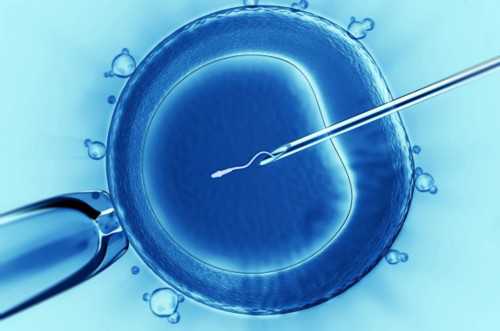 前往泰国做三代试管攻略有哪些？-借卵试管婴儿