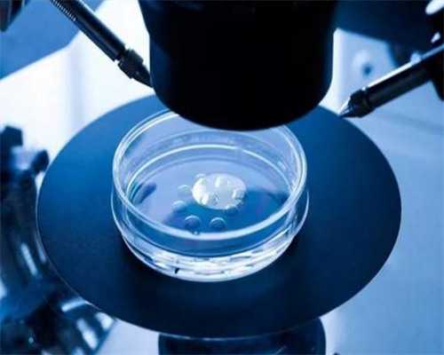 天津最权威的试管医院是哪家？