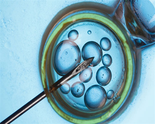 在上海瑞金医院做试管婴儿多少钱 上海做第三代试管婴儿费用明细 ‘加微信看