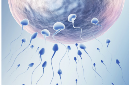 怀孕初期症状_备孕几天一次,扬州三代试管婴儿医院排名，附试管助孕成功率一