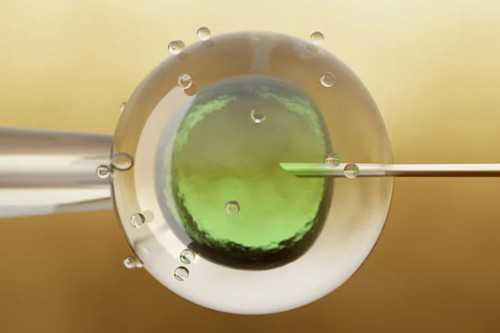 代孕价格多少钱（国内代孕违法吗