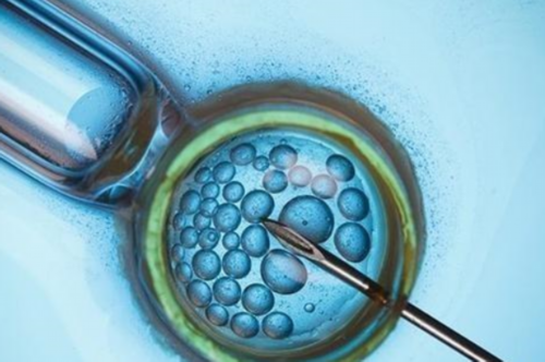 浙江中介代孕价格,2026我想求代孕